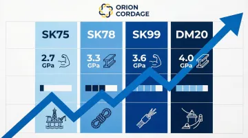Infographic