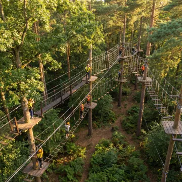 Custom high ropes course with multiple challenge elements suspended between tall trees
