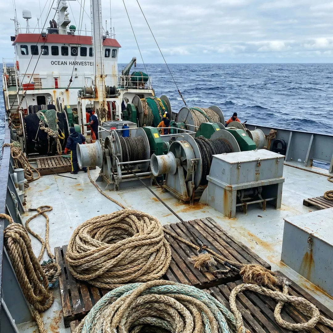 Commercial Fishing