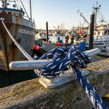 Commercial Marine & Fishing