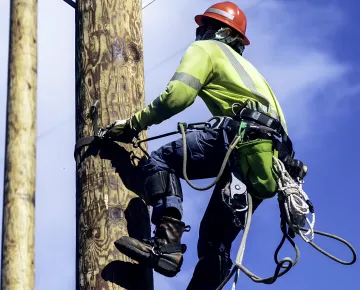 Power Utility & Telecommunications