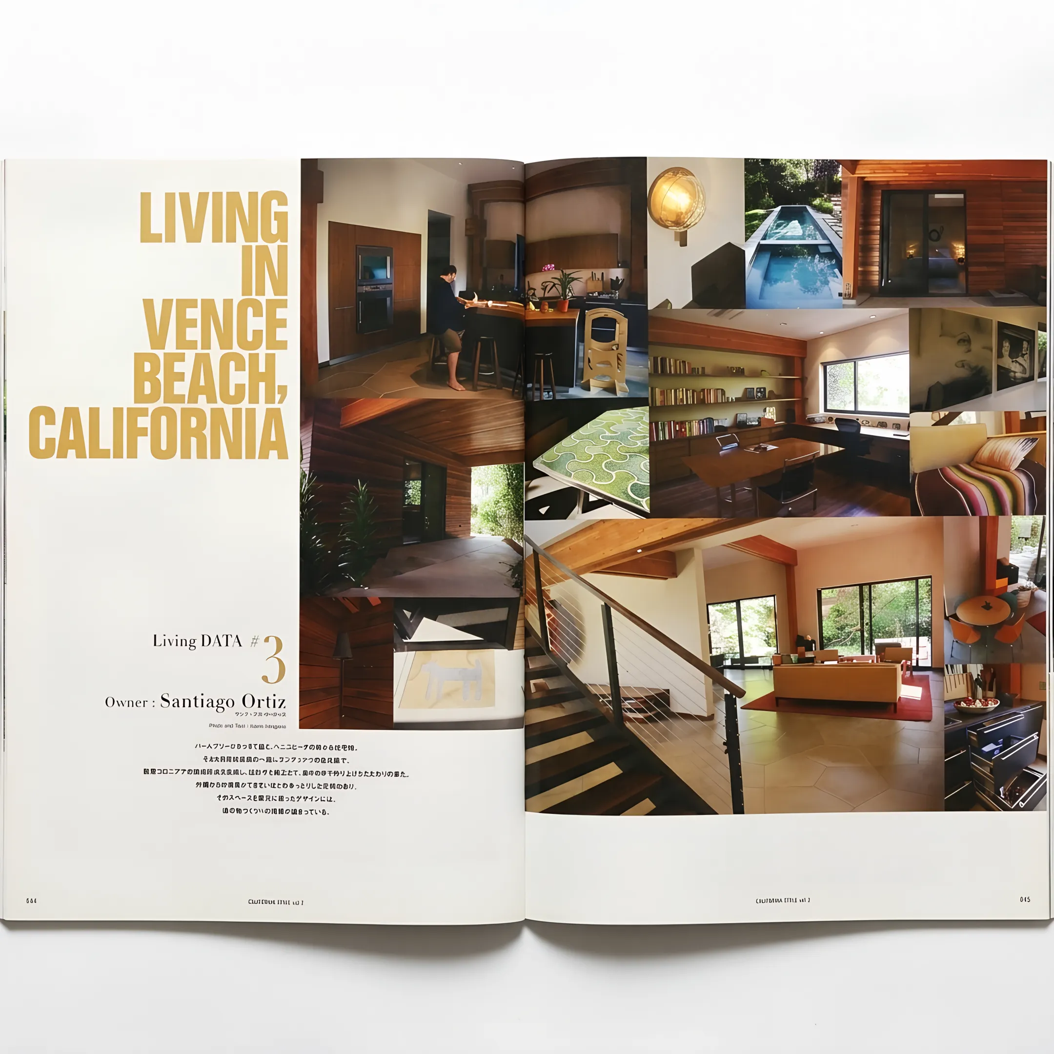 Architect presenting a cohesive whole home renovation concept