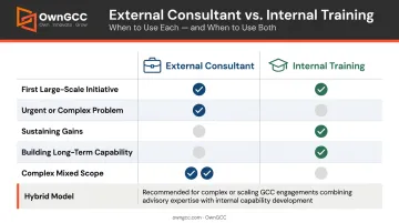 In-house LSS training versus external consultant decision matrix for healthcare organizations