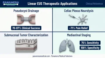 Linear EUS therapeutic applications overview with clinical success rates infographic