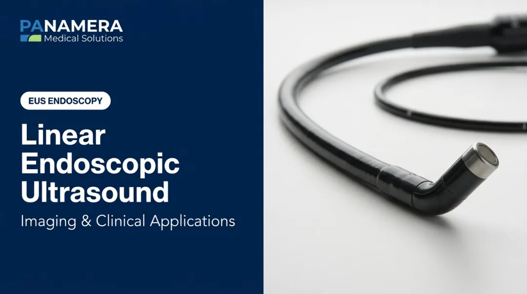 Linear Endoscopic Ultrasound: Imaging & Clinical Applications