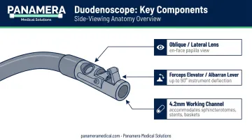 Three key design components of side-viewing duodenoscope anatomy diagram