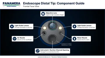 Flexible endoscope distal tip components diagram showing objective lens light guides nozzles and instrument channel