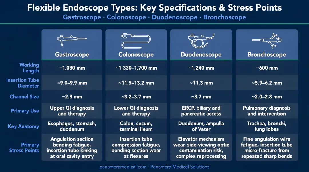 Flexible endoscope types comparison chart showing gastroscope colonoscope duodenoscope bronchoscope key specifications and stress points