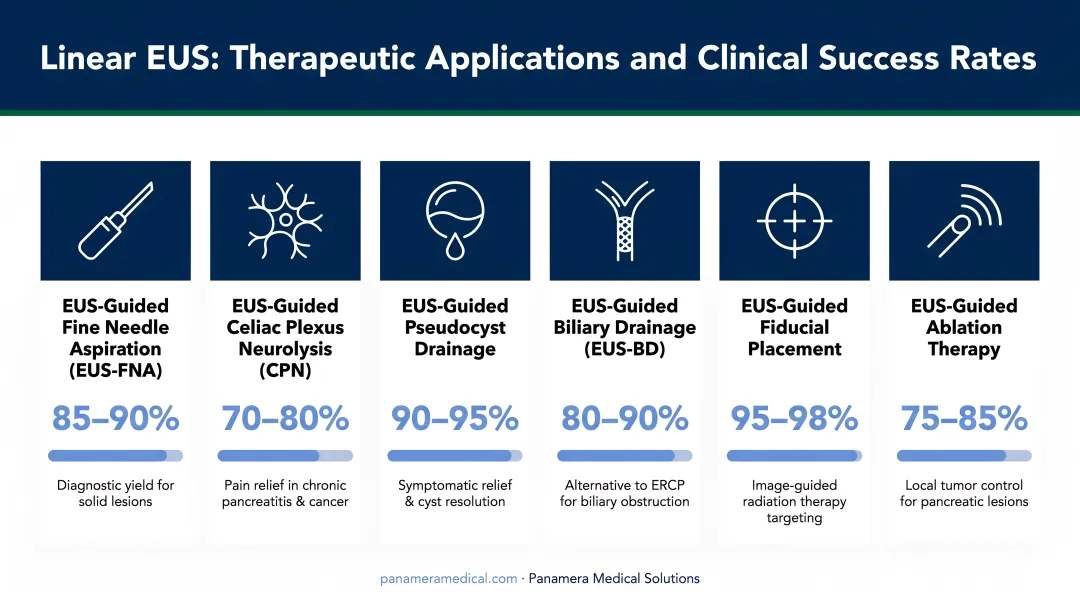 Linear EUS therapeutic applications overview with clinical success rates infographic