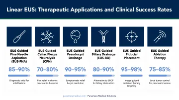 Linear EUS therapeutic applications overview with clinical success rates infographic