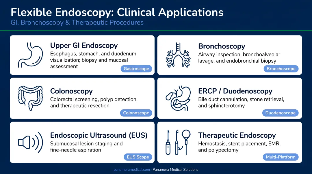 Flexible endoscopy clinical applications spanning GI bronchoscopy and therapeutic procedures