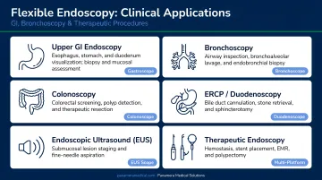 Flexible endoscopy clinical applications spanning GI bronchoscopy and therapeutic procedures