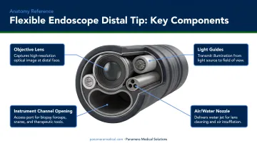 Flexible endoscope distal tip components diagram showing objective lens light guides nozzles and instrument channel