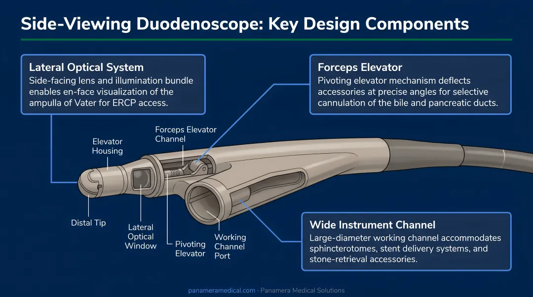 Three key design components of side-viewing duodenoscope anatomy diagram