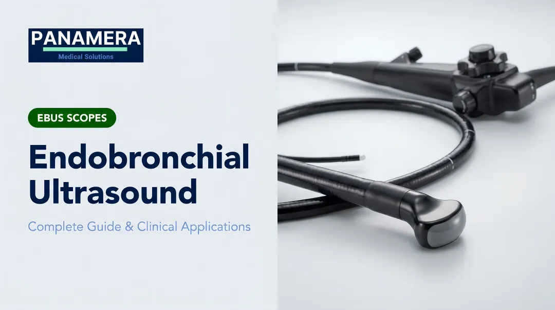Endobronchial Ultrasound: Complete Guide & Clinical Applications