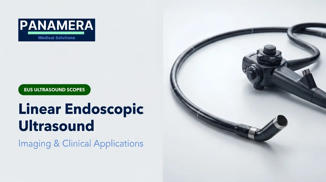 Linear Endoscopic Ultrasound: Imaging & Clinical Applications