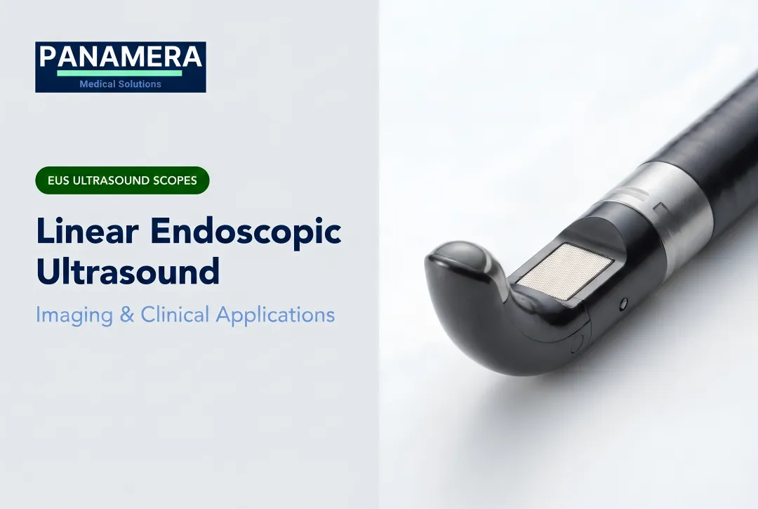 Linear Endoscopic Ultrasound: Imaging & Clinical Applications