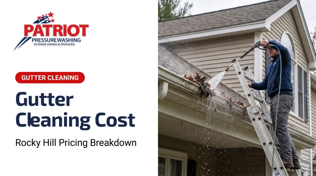 Gutter Cleaning Cost