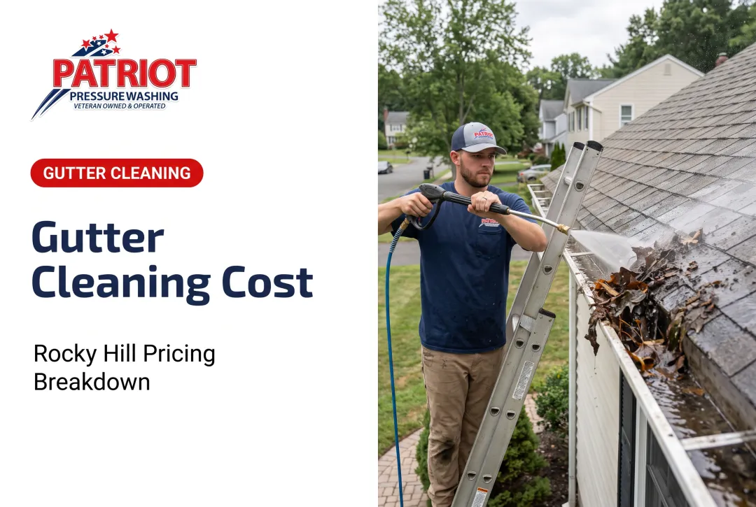 Gutter Cleaning Cost