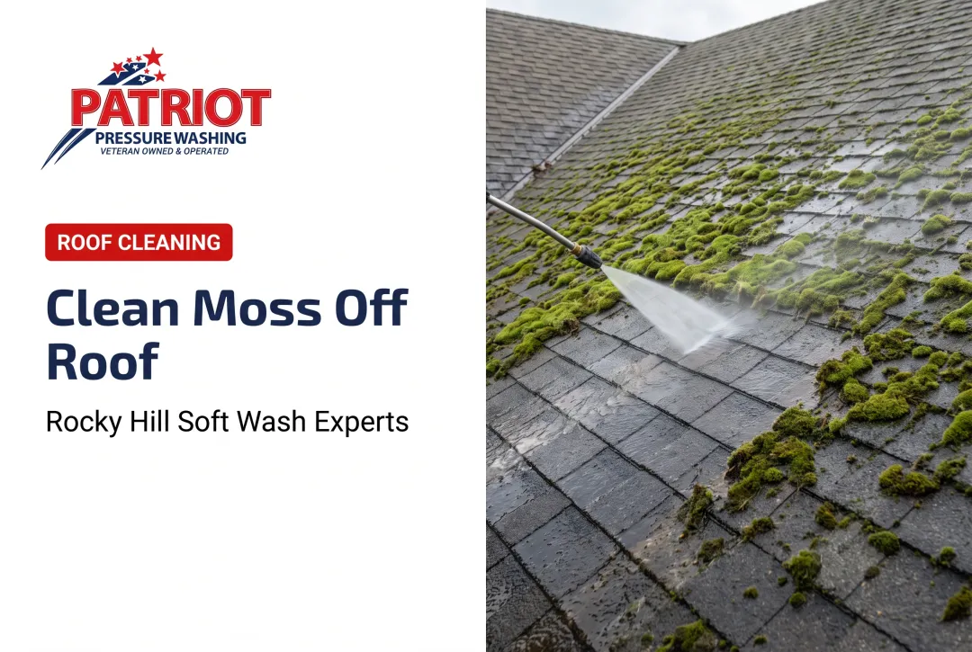 Clean Moss Off Roof