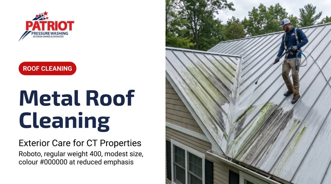 Metal Roof Cleaning