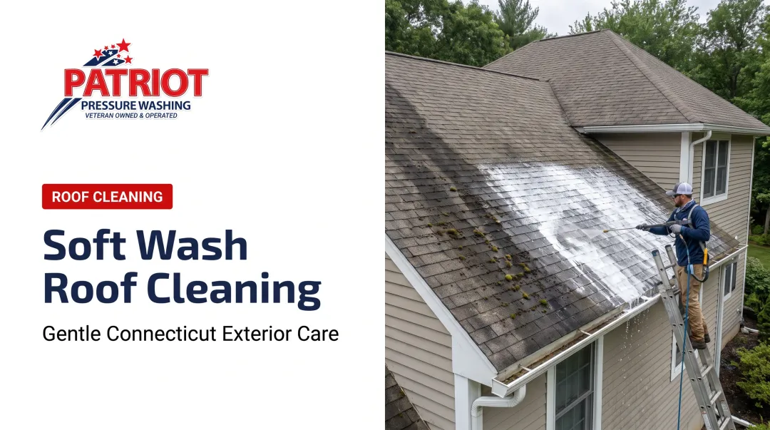 Soft Wash Roof Cleaning