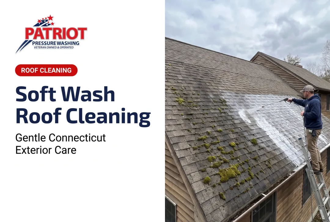 Soft Wash Roof Cleaning
