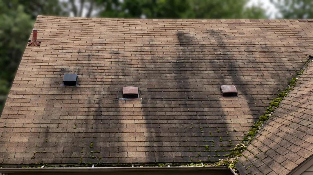 Close-up of roof shingles showing black algae streaks and green moss growth damage