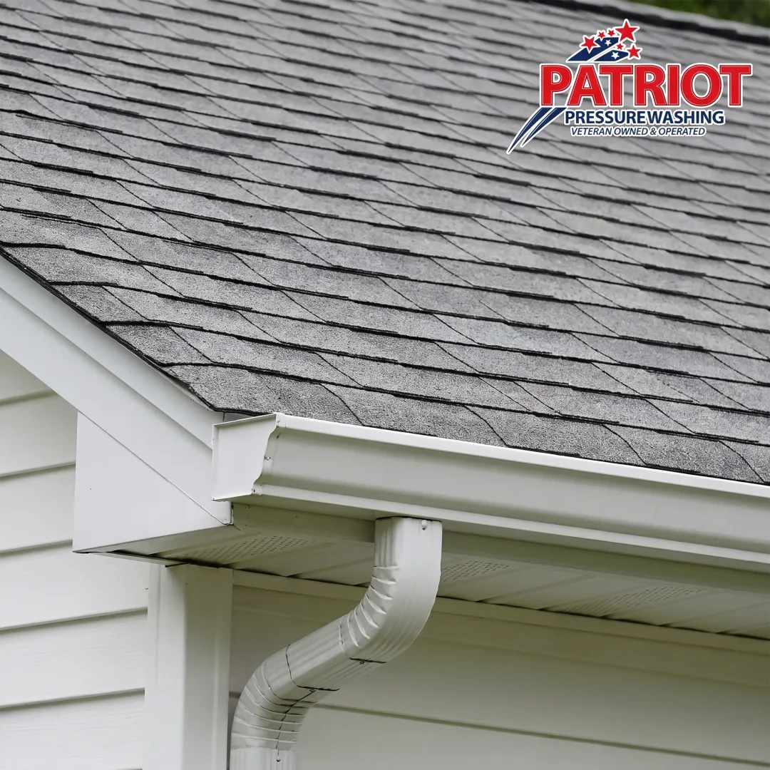 Clean roof with clear gutters
