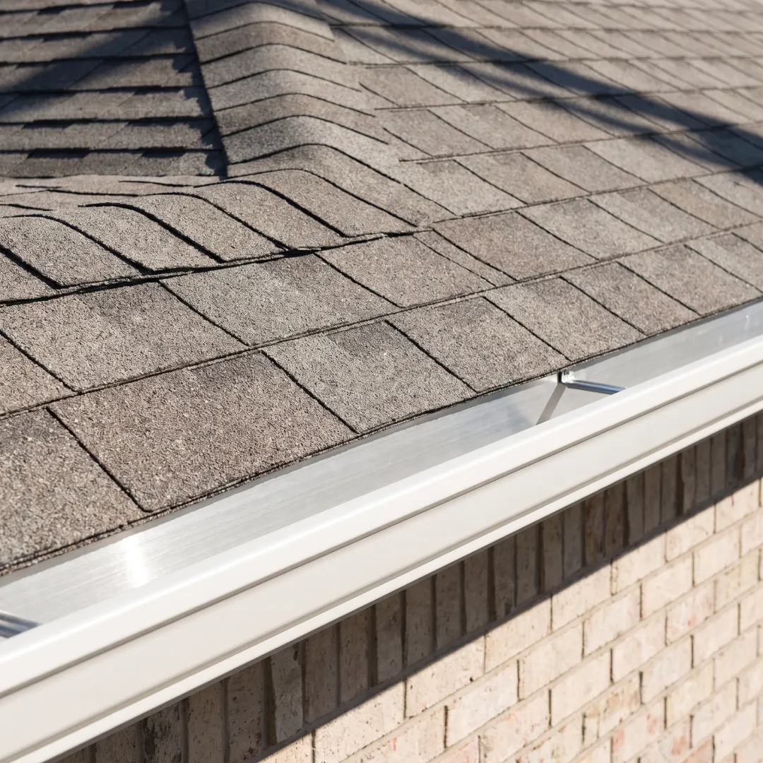 Clean gutters and roof on a home