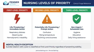 Three levels of nursing priority classification by urgency and required response time