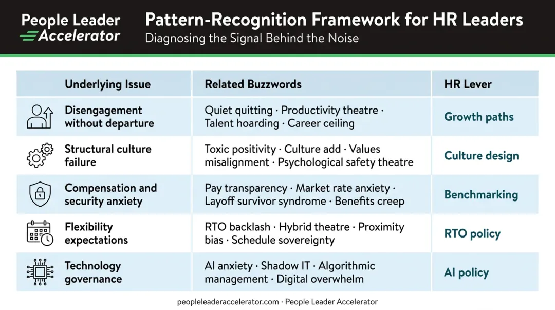 HR buzzword diagnostic framework mapping workforce issues to strategic HR levers
