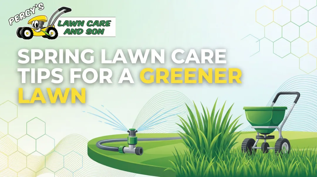 Spring Lawn Care Tips for a Greener Lawn