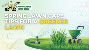 Spring Lawn Care Tips for a Greener Lawn