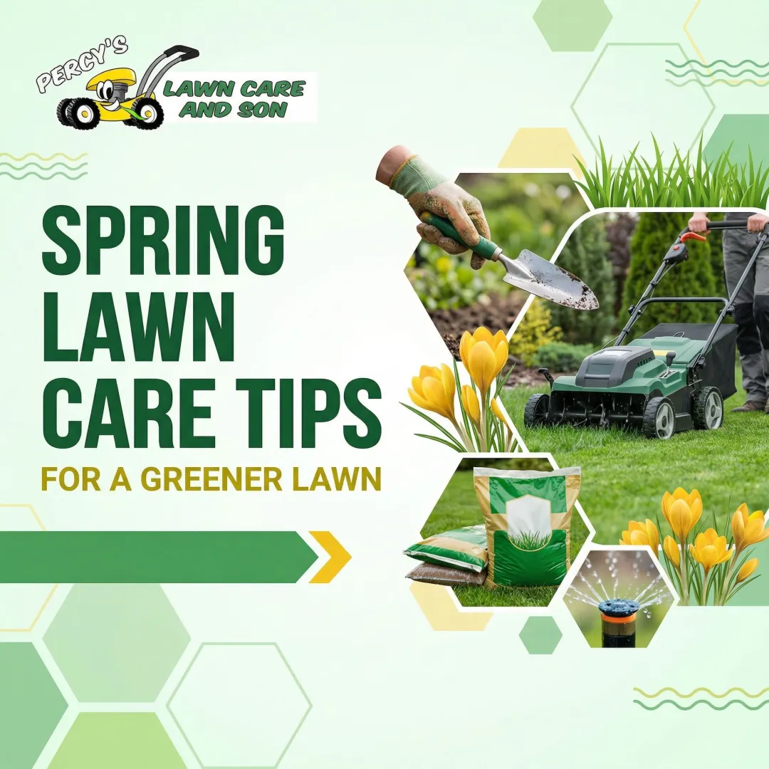 Spring Lawn Care Tips for a Greener Lawn