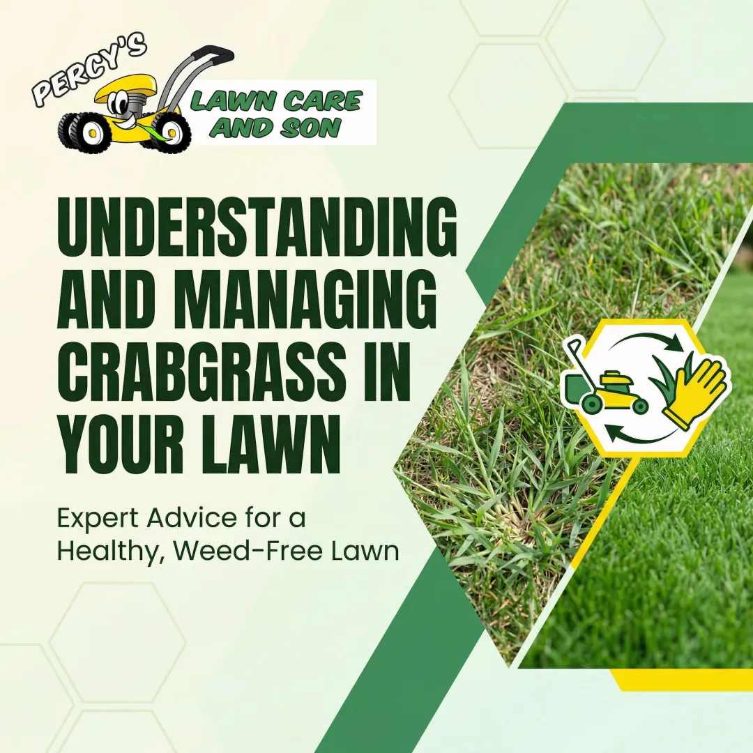 Understanding and Managing Crabgrass in Your Lawn