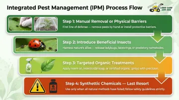 Four-step Integrated Pest Management IPM response sequence process flow