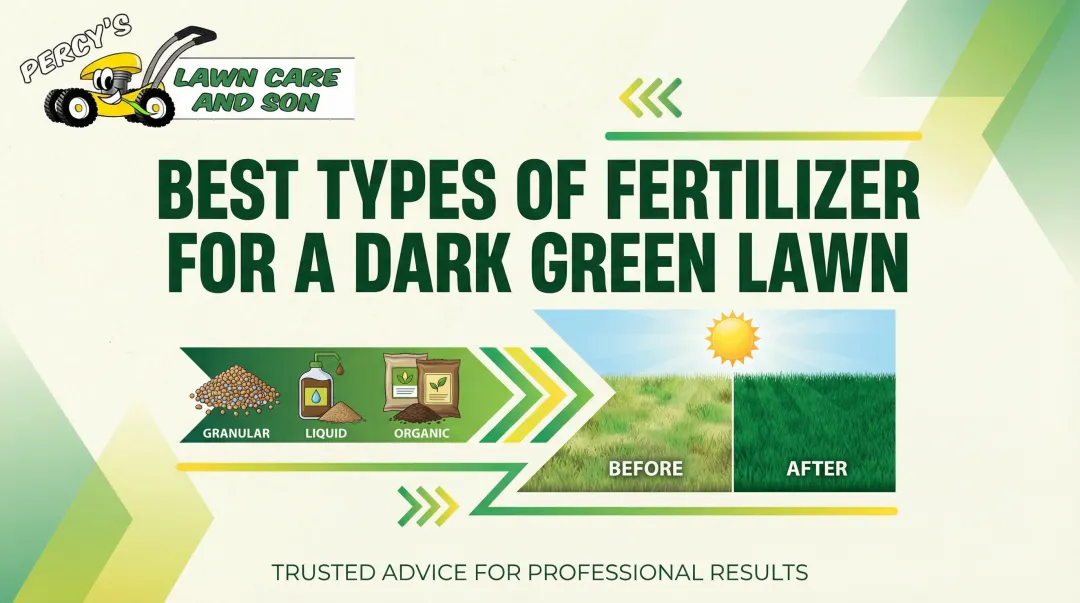 Best Types of Fertilizer for a Dark Green Lawn