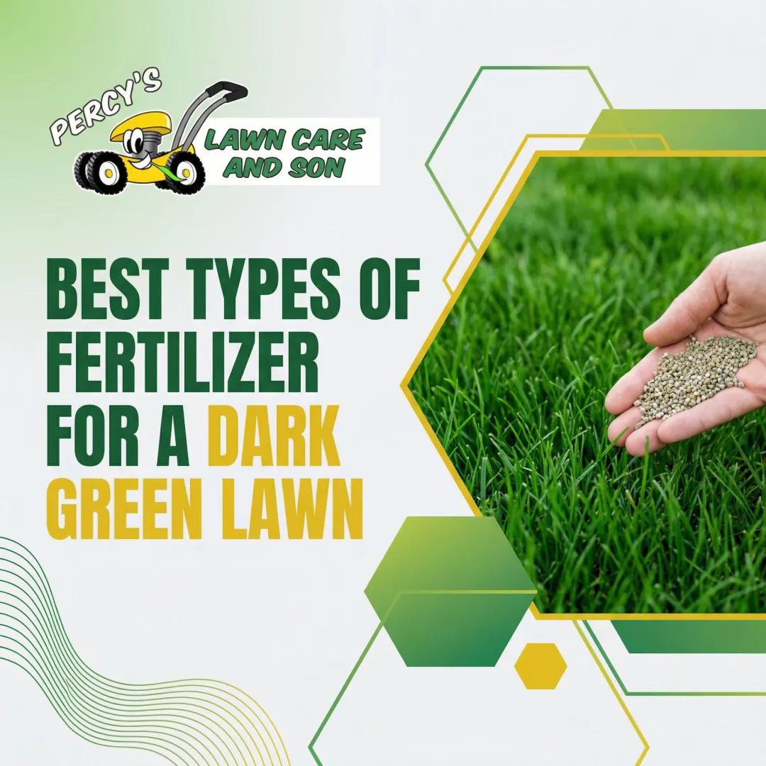 Best Types of Fertilizer for a Dark Green Lawn