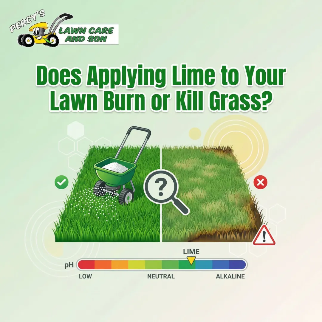 Does Applying Lime to Your Lawn Burn or Kill Grass?
