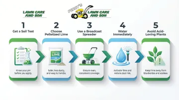5-step lawn lime application process from soil testing to watering