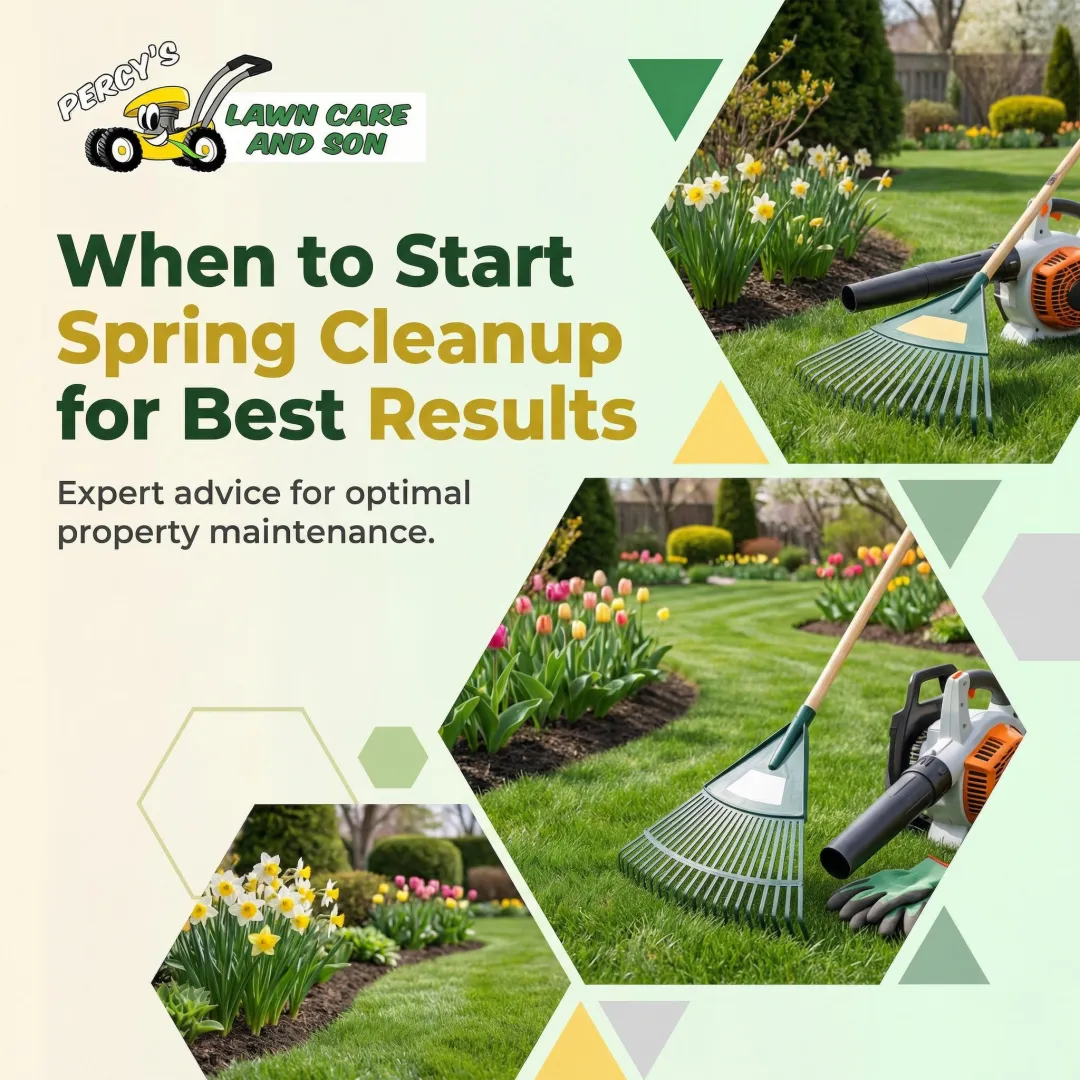 When to Start Spring Cleanup for Best Results