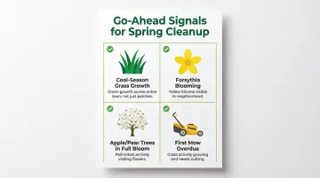 Four natural lawn and plant indicators signaling spring cleanup readiness