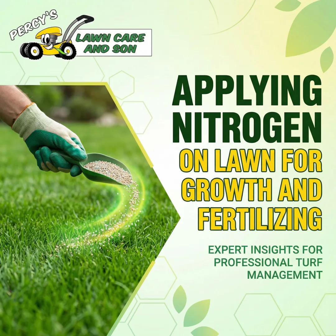 Applying Nitrogen on Lawn for Growth and Fertilizing