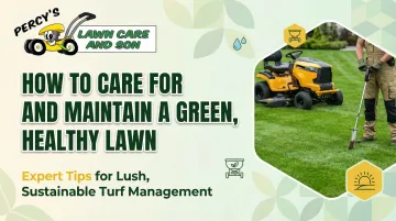 How to Care for and Maintain a Green, Healthy Lawn