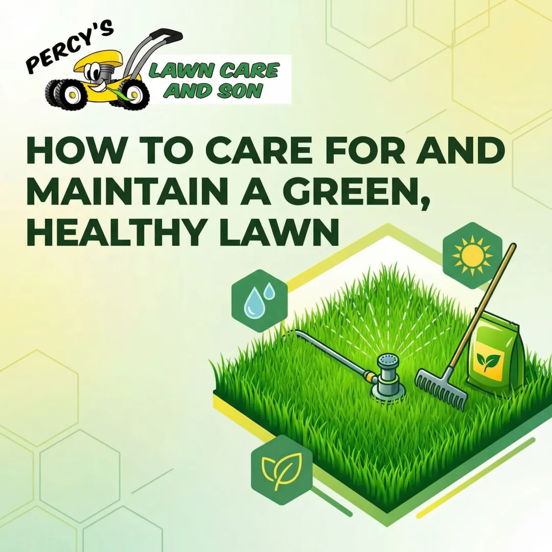 How to Care for and Maintain a Green, Healthy Lawn