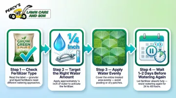 4-step post-fertilization watering process infographic for healthy lawn care
