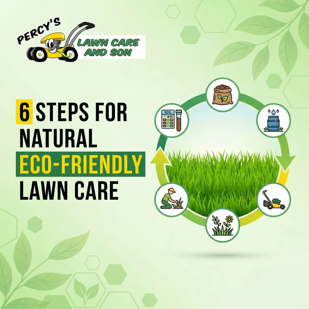 6 Steps for Natural Eco-Friendly Lawn Care