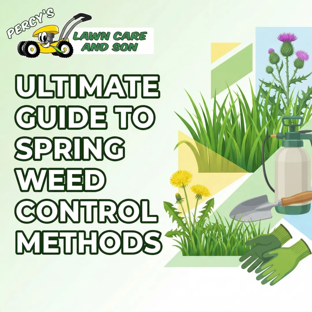 Ultimate Guide to Spring Weed Control Methods
