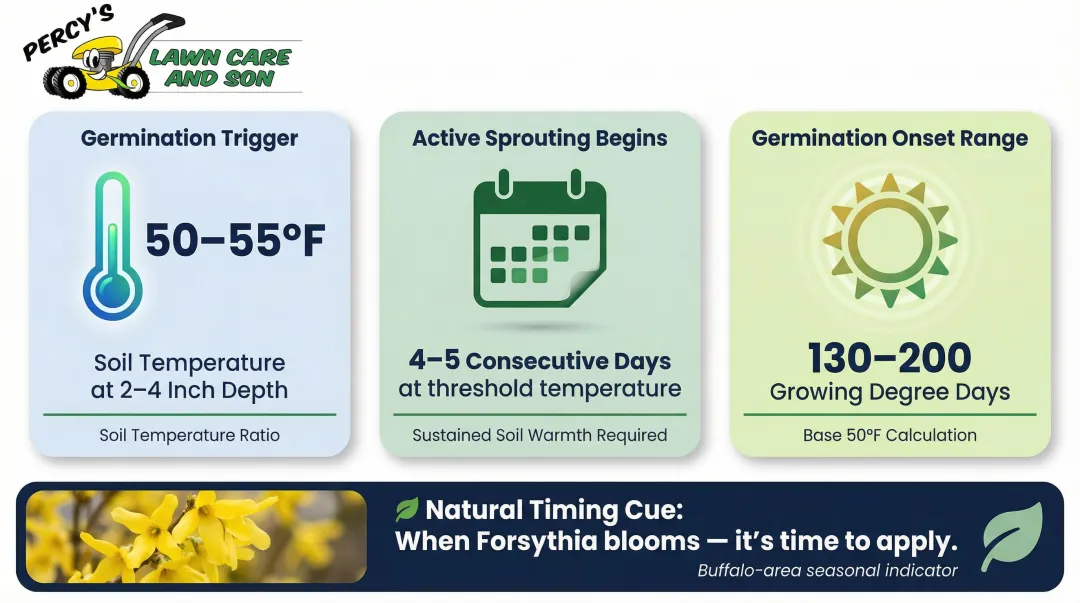 Buffalo crabgrass germination timing benchmarks soil temperature and growing degree days